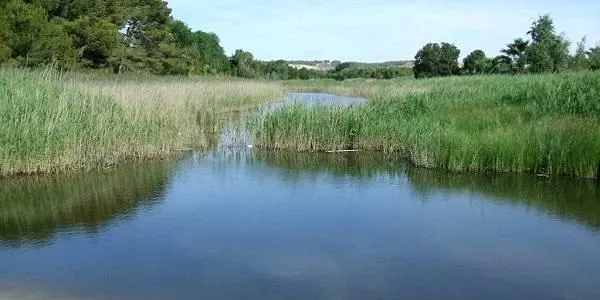 L’Associació Terres del Gaià presenta un inventari sobre el patrimoni fluvial del riu Gaià