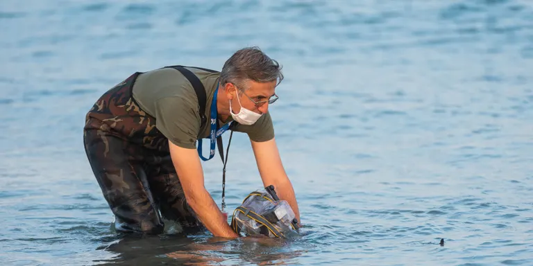 Ferran Aguilar: “La tortuga babaua que va fer una posta a Cambrils podria intentar tornar al mateix lloc”