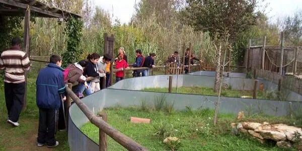 L’última visita guiada a la desembocadura del Gaià de l’hivern tindrà lloc aquest diumenge