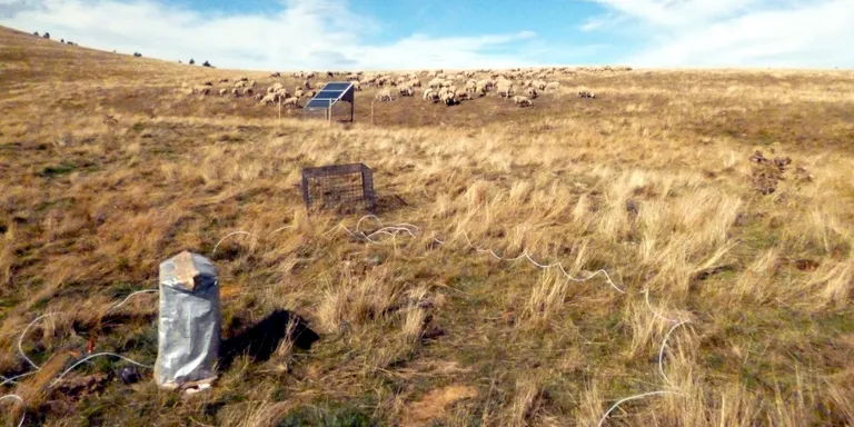 Un grup de científics catalans analitza com l'abandonament de les pastures al Pirineu afecta el canvi climàtic