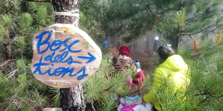 L'activitat familiar 'Anem a buscar els tions al bosc' es farà enguany en dos torns