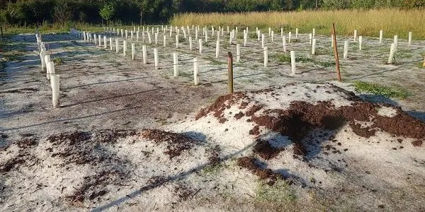 L'Hort de la Sínia avalua els danys provocats per la calamarsada als seus cultius