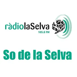 So de la Selva del 29/12/2018 - episode art