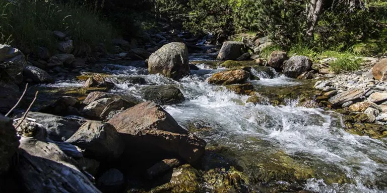 Continuen els treballs de neteja i restauració de marges dels rius d'Andorra