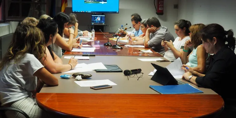 El Consell Comarcal de l'Alt Urgell aprova el finançament de la passera de l'N-260 a la Seu d'Urgell