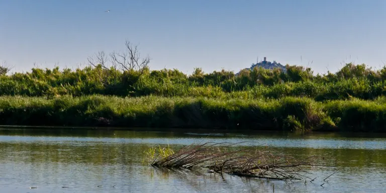 La Tordera incrementa el seu cabal gràcies a les darreres pluges
