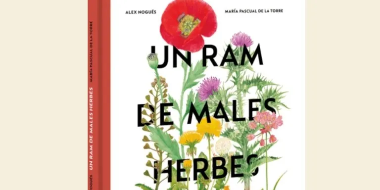 Taller sobre els usos i característiques de les herbes espontànies de Torredembarra