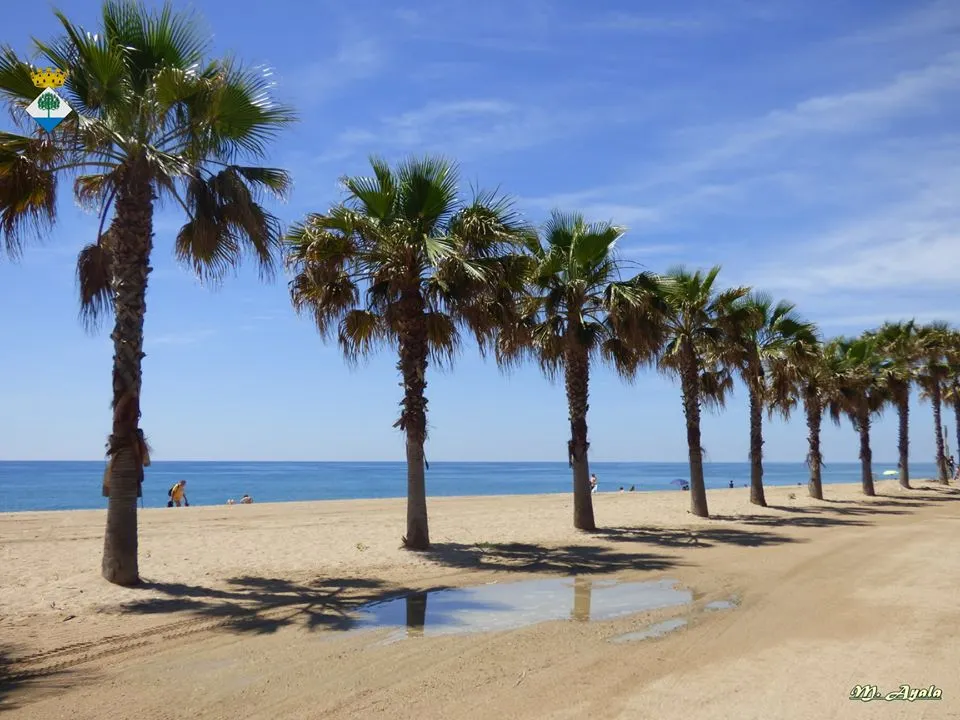 Matí tranquil i tarda amb més núvols