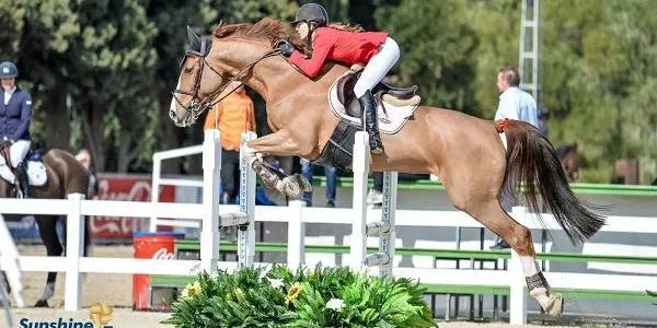 L’amazona Sara Salom segueix progressant amb Donna Granada en el seu pas pel CNS San Pedro Regalado