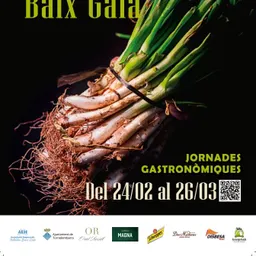Àlex Segü, Jornades Gastronòmiques del Calçot del Baix Gaià - episode art