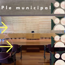 Ple municipal del 26/10/2026 - episode art
