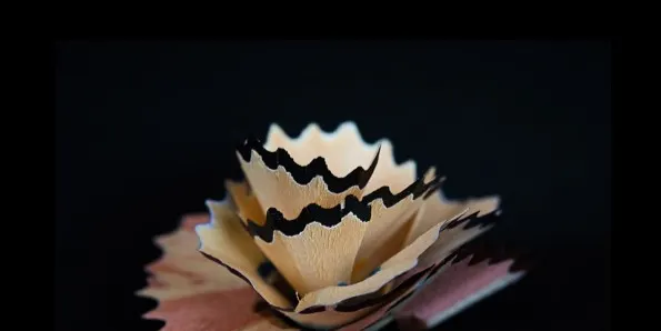 Ja es pot visitar l'exposició sobre macrofotografia de l'AFAA