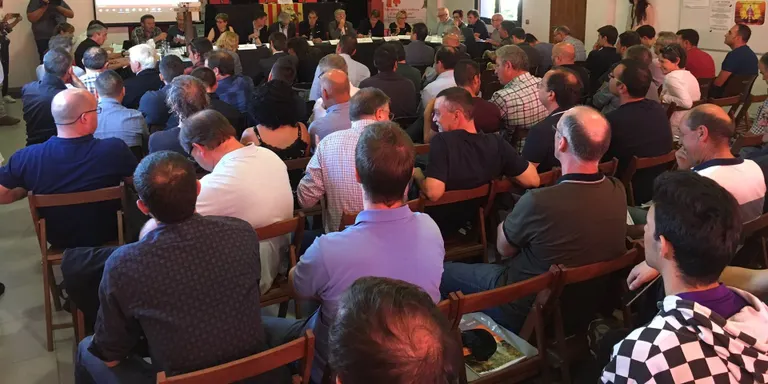 Subhastades a Montferrer més de 68.000 tones de fusta per valor de prop de 3 milions d'euros