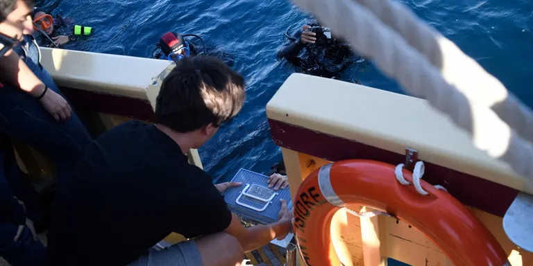 Allliberen al mar deu exemplars de tauró gat criats per alumnes de l'institut-escola de Cadaqués