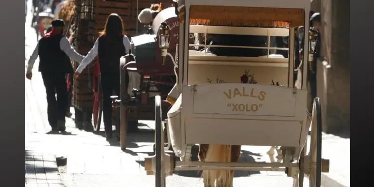 Tot a punt per la 44ª edició dels Tres Tombs de Sant Antoni