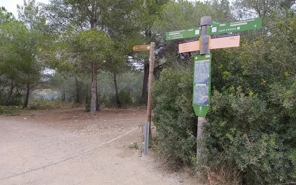 Foto: Altafulla Ràdio