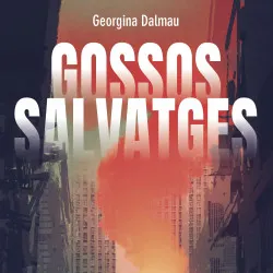 El Calaix entrevista a Georgina Dalmau - episode art