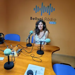 BELLVEI EN SINTONIA UN PROGRAMA D'ENTREVISTES DIVERSES - episode art