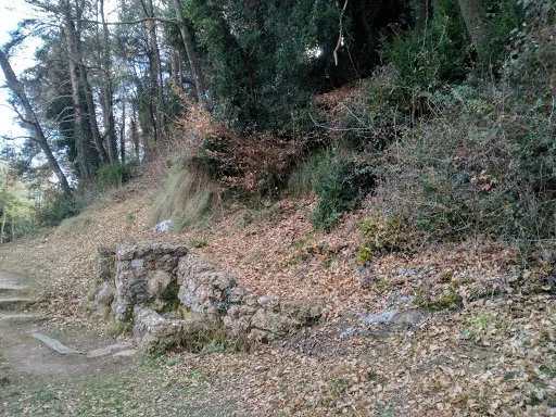 L'Ajuntament de Lladurs vol declarar el Pont de la Frau i les Fonts de Lladurs Bé Cultural d'Interès Local