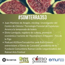 #161 - Som Terra amb Pili Garcia del 13/9/2022 - episode art