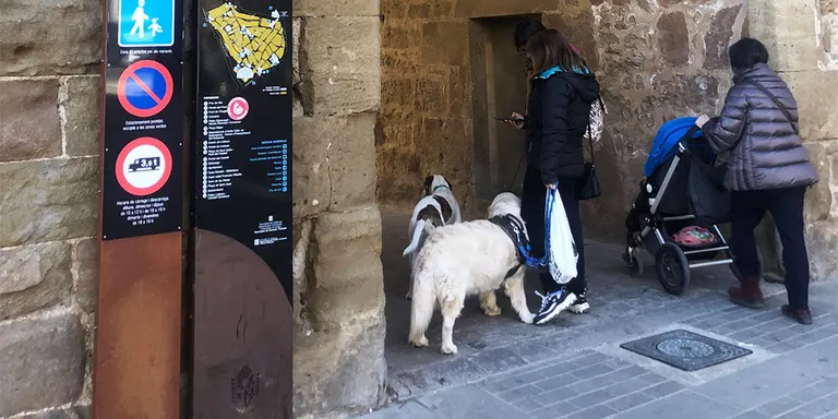 Nous senyals col·locats en sis accessos al nucli antic