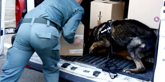La duana de la Farga de Moles disposa d'un gos detector de tabac