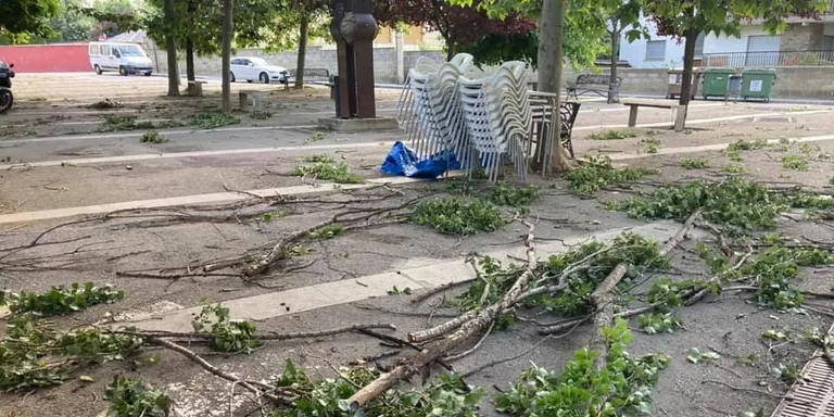 Un temporal de vent causa danys i talls de llum puntuals a l'Alt Urgell i la Cerdanya
