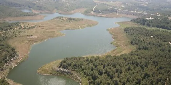 Les entitats ecologistes insten el Govern assumir la gestió de l'embassament del Catllar com a objectiu de la nova conselleria de Medi Ambient
