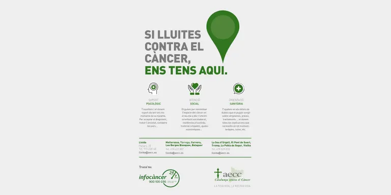 La Seu se suma al Dia Mundial contra el Càncer tot il·luminant de verd la Sala de Sant Domènec