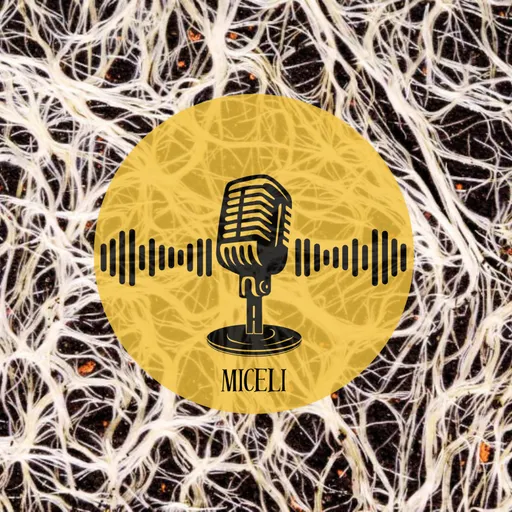 Miceli