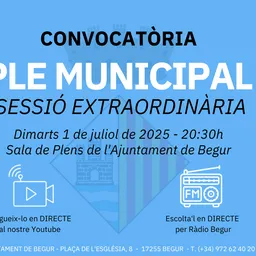 1 de juliol: Ple municipal extraordinari de l’Ajuntament de Begur - episode art