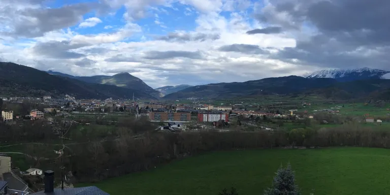 L'Ajuntament de la Seu aprova un conveni relatiu a les forests municipals amb el Departament d'Agricultura