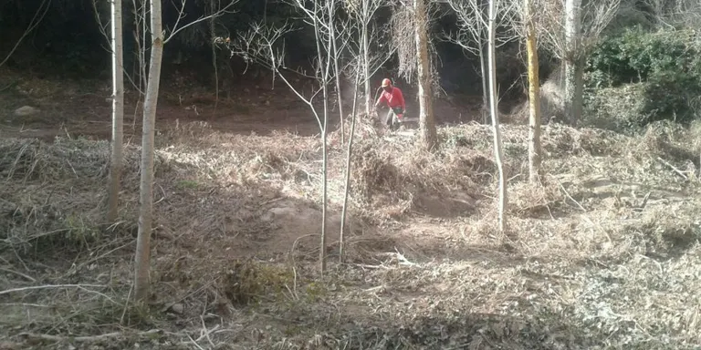 Els Escatxics, al Campionat de Catalunya Sub14 en Pista Coberta