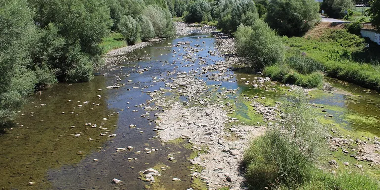 La Seu d'Urgell prepara una neteja de la ribera del Segre al municipi per prevenir aiguats