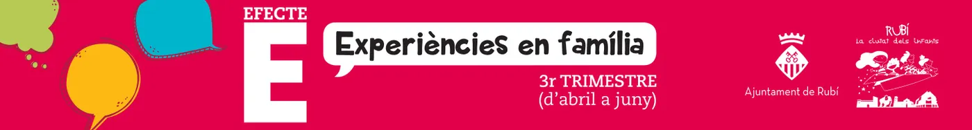 publicitat municipal EFECTE E 2019