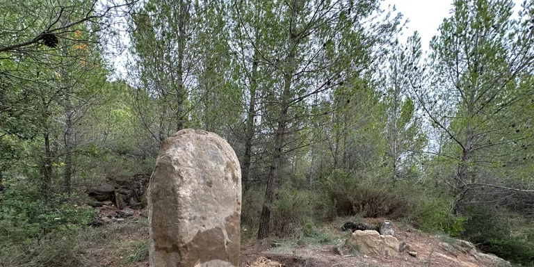 Finalitza el retorn al territori dels menhirs i esteles del Solsonès
