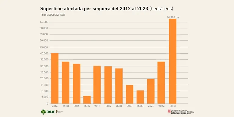 La sequera perllongada ha afectat més de mil hectàrees de boscos del Solsonès