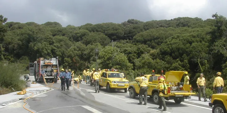 Alerta per la calor i el risc d'incendi forestal