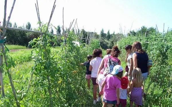Foto: Hort de la Sínia