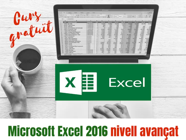 L'AEAU ofereix un curs de nivell avançat d'Excel