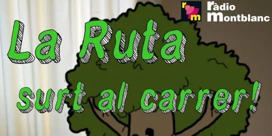 El Club Futbol Sala d'Agramunt realitza el campus d'estiu