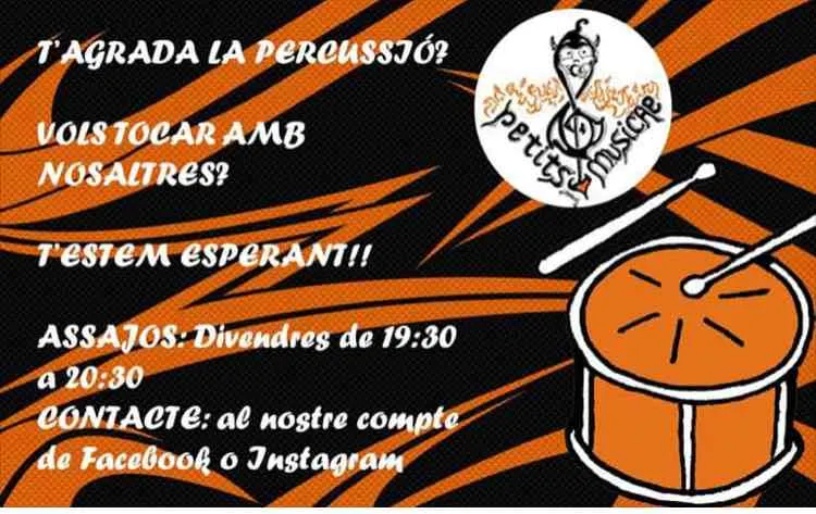 Els Petits Musicae volen ampliar el grup i fan una crida als nens i nenes a sumar-shi