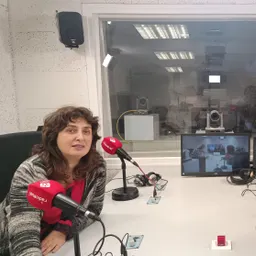 #1481 - Una mirada als 40 anys de l'artista Pep Borràs - episode art