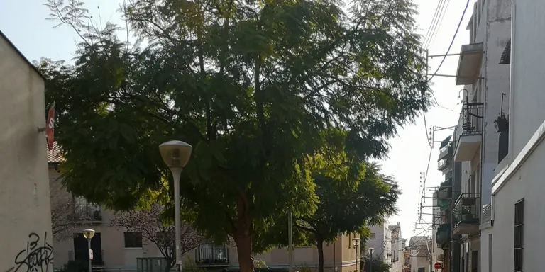 L’obra del carrer Mont arriba a la fase final