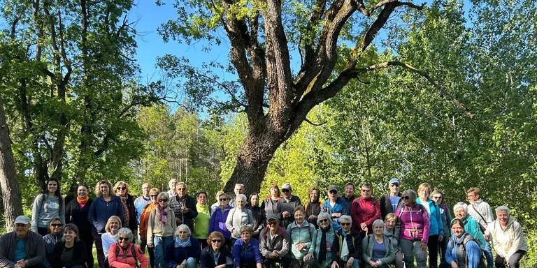 Avui s'obren les inscripcions a la 21a Setmana de la Gent Gran de Solsona