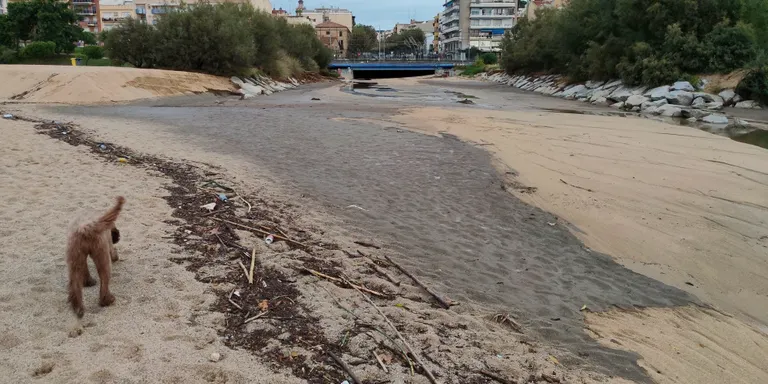 Un vessament d’aigües fecals d’Arenys de Munt arriba a la desembocadura de la Riera