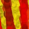 Diada Nacional de Catalunya 2017