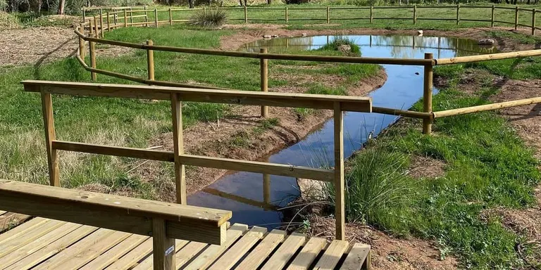 El petit oasi de natura del Morell