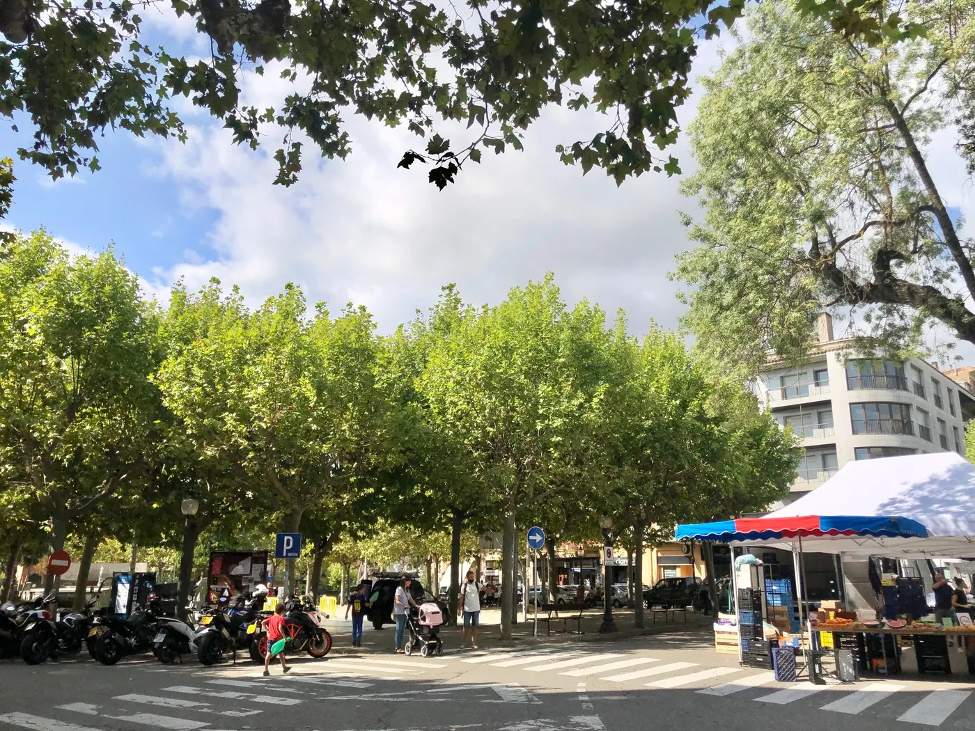 L'Ajuntament de Solsona aplicarà un tractament fitosanitari a l'arbrat de la plaça del Camp la matinada de divendres