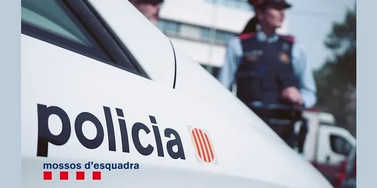 Un detingut per una baralla en una discoteca de la Seu d'Urgell